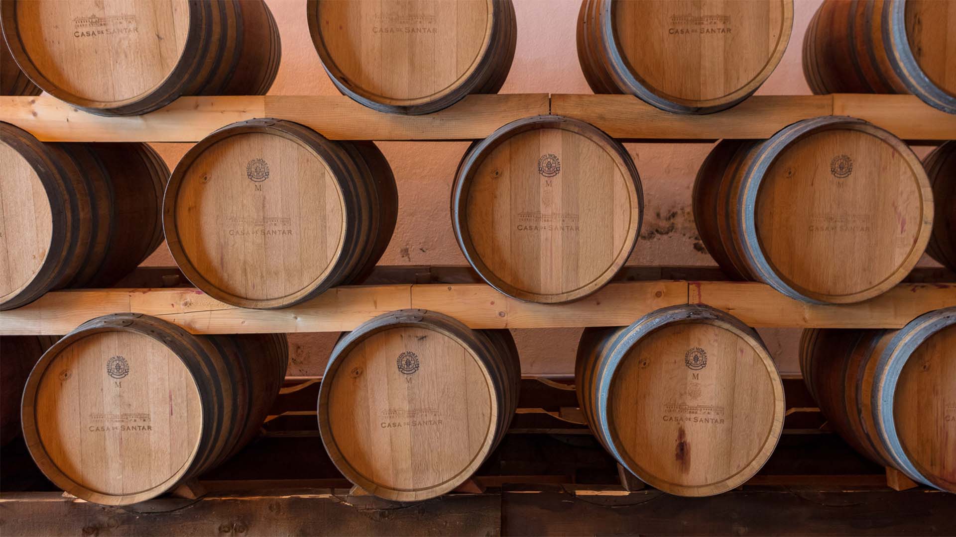 Santar Noble Visita e prova de vinhos Wine X