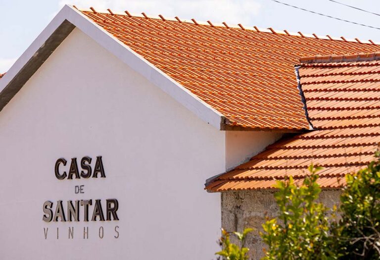 Santar Tradition Visita e prova de vinhos 1990