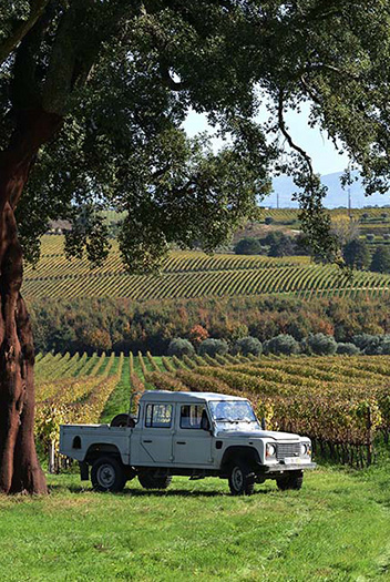 Santar Vila & Vinhas by Jipe – Visita, passeio e prova de vinhos